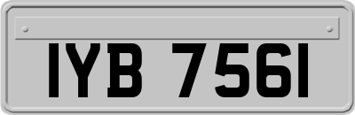 IYB7561
