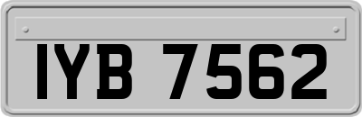 IYB7562