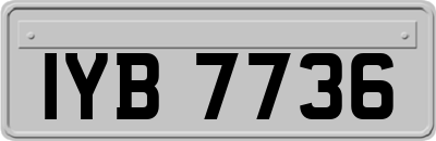 IYB7736