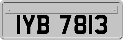 IYB7813