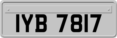 IYB7817