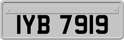 IYB7919