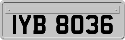 IYB8036