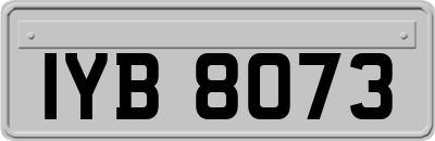 IYB8073