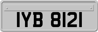 IYB8121