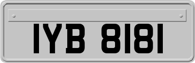 IYB8181