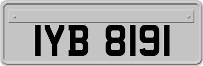 IYB8191