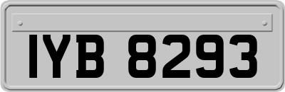 IYB8293
