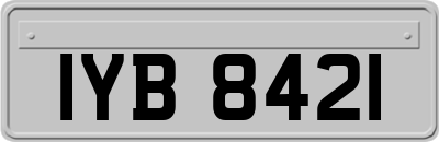 IYB8421