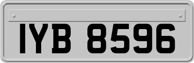 IYB8596