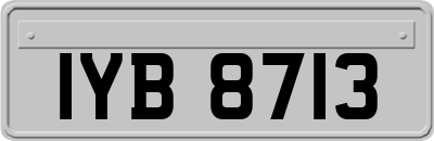IYB8713