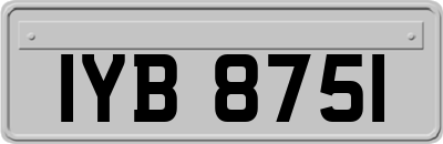 IYB8751