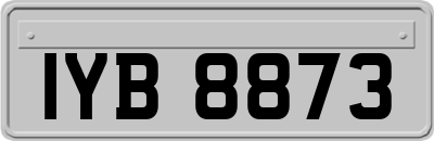 IYB8873