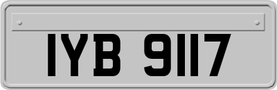 IYB9117
