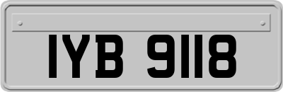 IYB9118