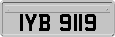 IYB9119