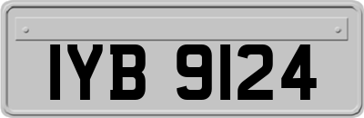 IYB9124
