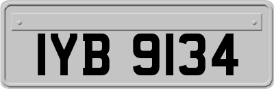 IYB9134
