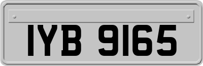 IYB9165