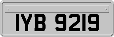 IYB9219
