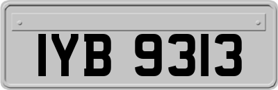 IYB9313