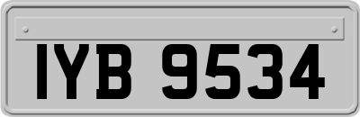 IYB9534