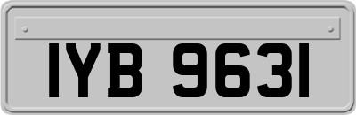 IYB9631