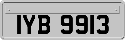 IYB9913