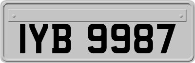 IYB9987