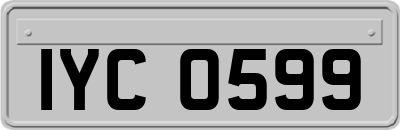 IYC0599