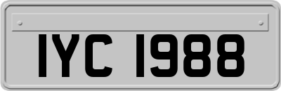 IYC1988