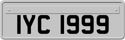 IYC1999