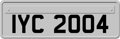 IYC2004