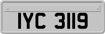 IYC3119
