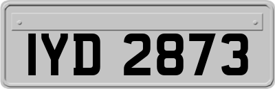 IYD2873