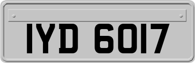 IYD6017