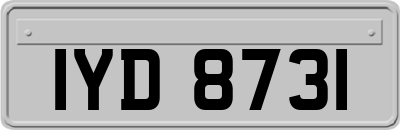 IYD8731