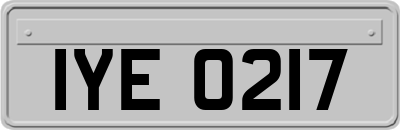 IYE0217