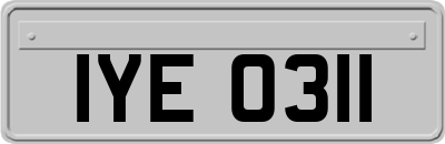 IYE0311