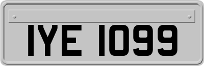 IYE1099