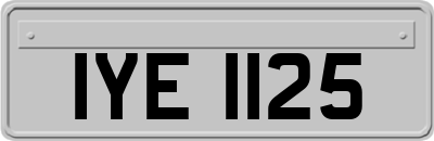 IYE1125