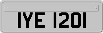 IYE1201
