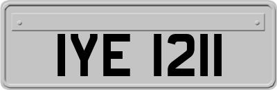 IYE1211