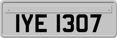 IYE1307