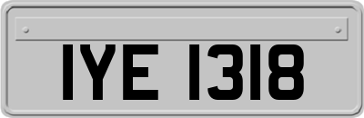IYE1318