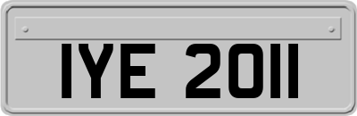 IYE2011