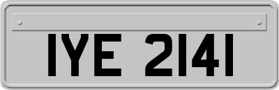 IYE2141