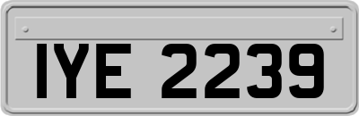 IYE2239