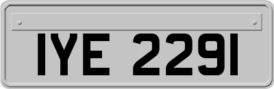 IYE2291