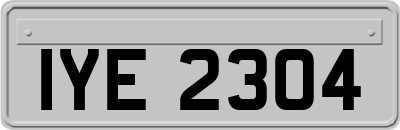 IYE2304